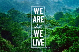 We are what we live